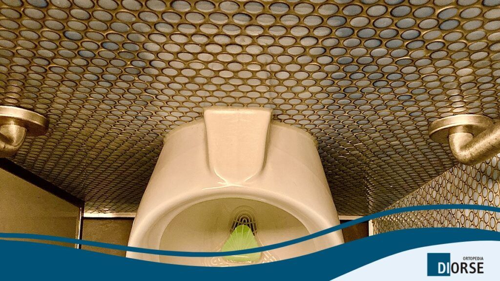 Consejos para elegir los elevadores WC